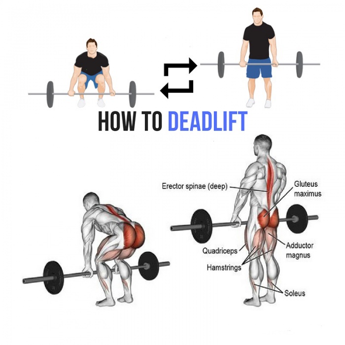 How To Deadlift - Full Body Training Plan Legs Butt Workout Gym
